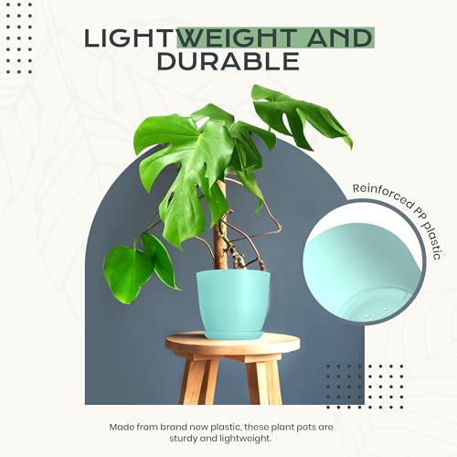 Utopia Home - Plant Pots Indoor with Drainage - 7/6.6/6/5.3/4.8 Inches Home Decor Flower Pots - Plastic Planters for Indoor Plants, Cactus, Succulents Pot (Aqua, Pack of 10) - color: Aqua, size: Pack of 10