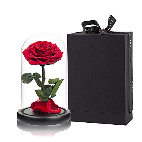 Red Roses Handmade Rose in Glass Dome, Preserved Flowers Never Withered Romantic Gifts for Her, Mother's Day, Birthday Gifts for Women - color: Red, size: Large