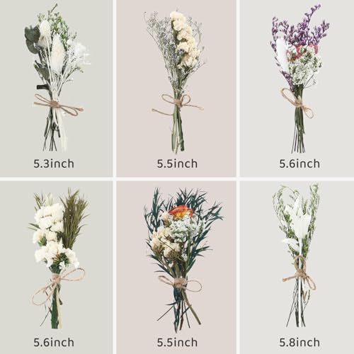 12/24 Pack Dried Flowers for Vase Various Mini Bouquet Dried Small Wildflowers Natural Real Flowers Bulk for Crafts DIY Wedding Decor (12, White) - size: White