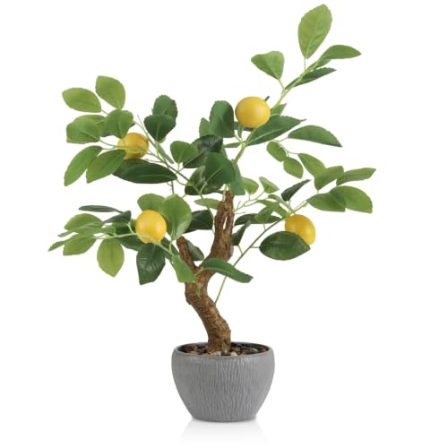 TOARTi Artificial Fake Lemon Tree Potted Plant with Pot, 17.7" Tall Small Artificial Citrus Tree Plant Desk Decor, Realistic Decorative Potted Faux Plants Indoor Shelf Decor for for Home Office Desk - color: Lemon Tree 17.7''