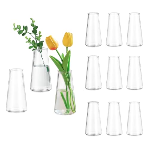 Glasseam Clear Flower Vases for Centerpieces: Modern Glass Vase Set of 12 for Wedding Party Centerpiece Home Table Decor 5.5In Small Bud Vases for Flowers Rose Tulip Stems - size: Clear-12pcs