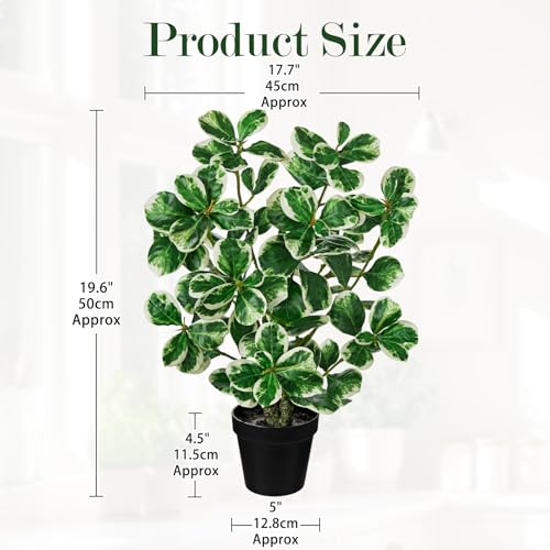 20" Artificial Rubber Tree Plant in Black Pot, Faux Ficus Tree Plant Potted with Cream White Edge Leaves, Fake Greenery Plant for Home Office Tropical Decor - size: 20" & Large