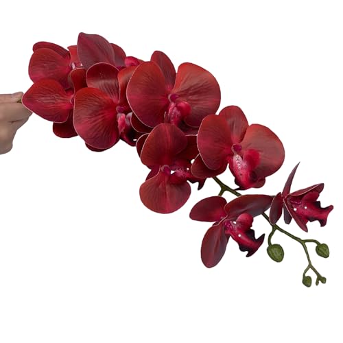 FagusHome Artificial Phalaenopsis Flowers Branches 9 Large Blooms Artificial Orchid Flowers Stem Plants 42 Inches 2 Pcs for Home Wedding Décor (Red) - color: Red