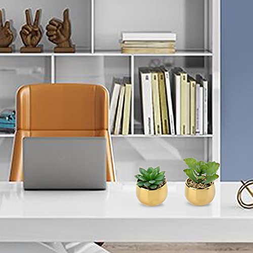 Briful Small Artificial Succulents in Pots Set of 2 Realistic Faux Succulents Plants with Gold Ceramic Pots Cute Mini Fake Plants Decor for Modern Home Table Office Desk Bathroom Shelf Decoration - color: Style #05