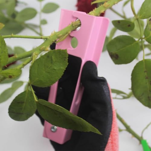 Floral Tool Kit Rose Thorn Stripper Tool Garden Pruning Shears Scissors Kit, Glove for Floral Making Supplies,Use for Florist Supplies - color: Pink