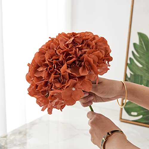 Rust Orange Artificial Hydrangea Flower Heads Hydrangea Silk Flowers with Stems for Wedding Centerpieces Bouquets DIY Floral Decor Home Decoration,Pack of 10pcs - color: 10pcs Burnt Orange, size: Large