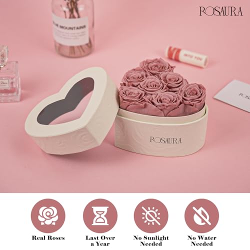 Rosaura Heart-Shaped Preserved Roses Gift Box - Real Forever Flowers for Christmas, Birthday, Valentine's & Mother's Day (Cappuccino, 7 roses) - color: Cappuccino, size: 7 roses
