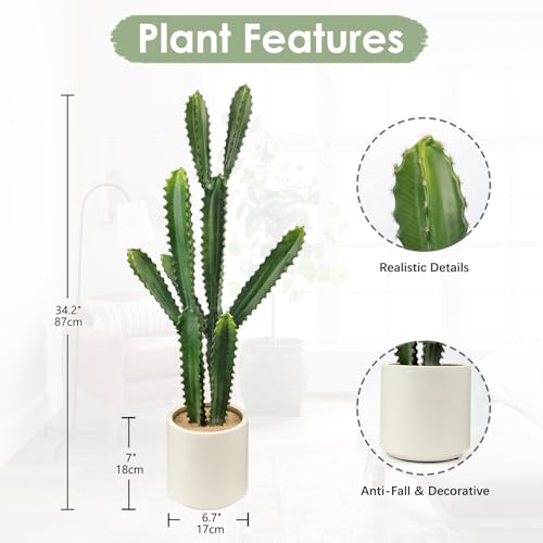 DILATATA 32.5" Tall Fake Cactus Plant Decorative Potted 'Euphorbia Accruensis' - Large Artificial Cactus for Home, Garden, Office Decor - Housewarming Gifts - color: White Pot Ea