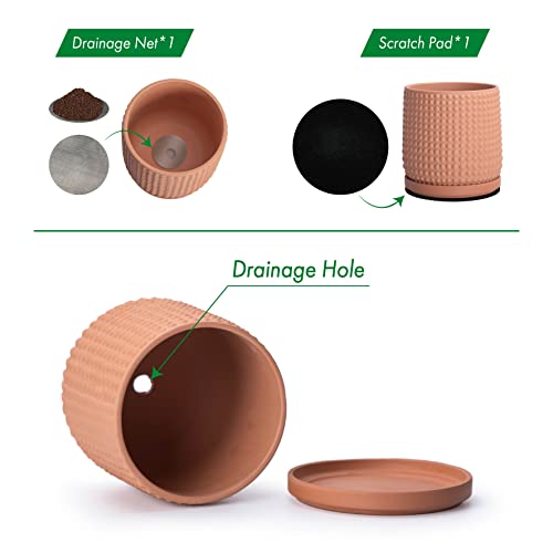 D'vine Dev 6 Inch Terracotta Beaded Planter Pot - Flower Pot with Drainage Hole and Saucer for Indoor Succulent Plants or Flowers, Terracotta, 27-C-X-7 - color: Terracotta, size: 5.8 Inch