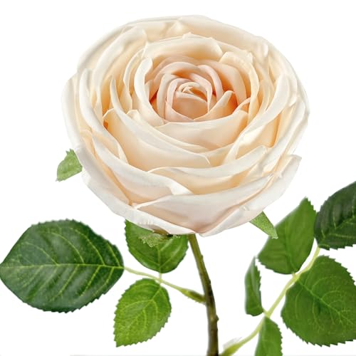 5Pcs Champagne Real Touch Silk Flowers - Lifelike Roses Peony | Lifelike champagne roses & peonies with soft latex touch, no watering needed. Perfect for wedding bouquets, home decor & DIY - color: Champagne