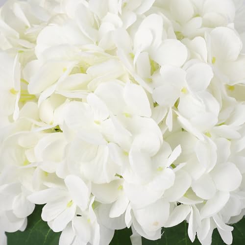 Artificial Hydrangea Flowers with Glass Vase & Fake Water - Faux Hydrangea for Home Table, Wedding Party, Office Decor | Realistic Fake Hydrangeas, Silk Flowers for Vase Arrangement(Hydrangea, white) - color: Hydrangea, White