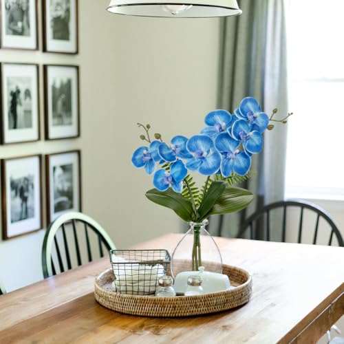 Oairse Blue Orchids Artificial Flowers, Faux Orchid in Glass Vase Real Touch Small Phalaenopsis Orchid Flowers Arrangements with Clear Vase Orchids Centerpiece for Dining Room Table - color: Blue & Clear