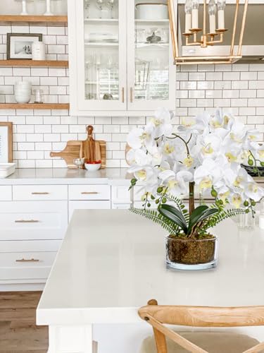 White Orchids Artificial Flowers 16.5" Faux Orchids Plant in Pot Fake Flower Arrangements with Glass Vases White Centerpieces for Kitchen Dining Room Tables Bathroom Nightstand Shelf Desk Decor - color: White Orchid & Moss