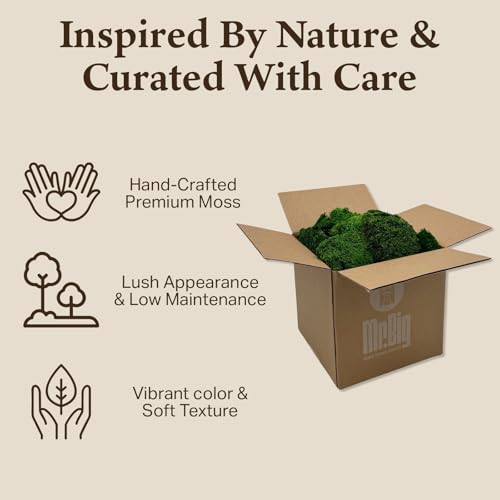 Preserved Mood Moss - Decorative Moss - Dried Moss for Crafts, Home Decor, Art, Design & DIY Projects - For Indoor Use - Natural Green - Standard Box - Covers 4-5 sq. ft. - color: Mood Moss, size: Box