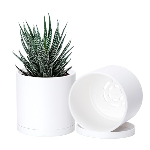 D'vine Dev 2 Pack 4.5 Inch Modern Plastic Plant Pots, Small Garden Planters for Plant with Drainage Holes and Saucers, White Color, 74-Z-F-1 - size: 4.5"