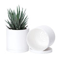 D'vine Dev 2 Pack 4.5 Inch Modern Plastic Plant Pots, Small Garden Planters for Plant with Drainage Holes and Saucers, White Color, 74-Z-F-1 - size: 4.5"