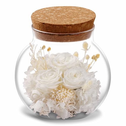 NATROSES Christmas Birthday Gifts for Women - Handmade Preserved Flowers Wish Bottle for Valentine's Day, Mother's Day, Anniversary, Home Decor (White) - color: White