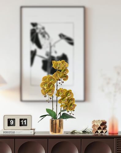 Artificial Orchid Flowers Set Fake Phalaenopsis Flower Faux Butterfly Orchid Real Touch Orchid for Wedding Home Office Party Hotel Yard Decoration Restaurant - color: Macula Lutea