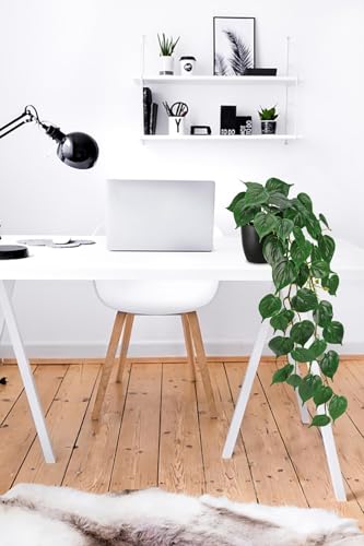 GnFlus Fake Ivy Plant with Pot Artificial Pothos Leaves Featuring a White Frosted Finish for Home Shelf Decor Indoor Silk Artificial Realistic Plant Large - color: Green-black Pot