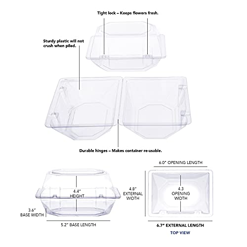 Royal Imports Clear Plastic Flower Box for Corsage, Boutonniere, Rose, Orchid Prom Wedding Craft Container 6x5x4-10 Pack