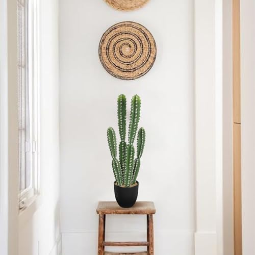 DILATATA Tall Fake Cactus Plant 27.5 inch Large Artificial Cactus Tree 'Candelabra Cactus' Faux Cactus Desert Plants Big Fake Cacti for Home Garden Office Decor - color: Pilosocereus Robinii