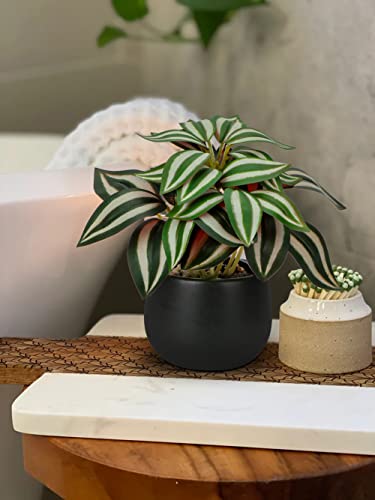 Briful 3PCS Fake Plants Potted Artificial Plants Mini Faux Plants in Black Ceramic Pots Greenery Décor for Home Office Table Room Farmhouse Indoor Decoration - color: Type#1