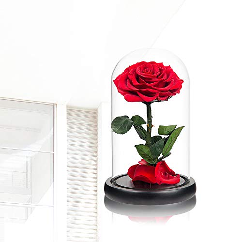 Red Roses Handmade Rose in Glass Dome, Preserved Flowers Never Withered Romantic Gifts for Her, Mother's Day, Birthday Gifts for Women - color: Red, size: Large