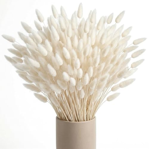 JOHOUSE 120PCS Dried Pampas Grass Decor, 17inch White Bunny Tails Dried Flowers, Bunny Tails Handpicked Bunch, Boho Flowers Home Table Decor, Wedding Decorations for Home