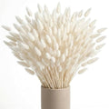 JOHOUSE 120PCS Dried Pampas Grass Decor, 17inch White Bunny Tails Dried Flowers, Bunny Tails Handpicked Bunch, Boho Flowers Home Table Decor, Wedding Decorations for Home