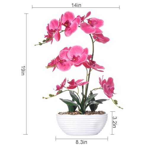 19" H Phalaenopsis Faux Orchid Plant Silk Orchid Centerpiece Artificial Floral Arrangement in Ceramic Pot (Rose Red) - color: Rose Red