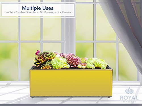 Flower Glass Vase Decorative Centerpiece for Home or Wedding by Royal Imports - Oblong Rectangle Shape (12" (4x4), Mirror Gold) - color: Mirror Gold, size: 12" (4x4)