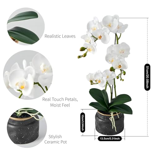 Avoeco Artificial Real Touch Orchid Plant – 20″ Faux Phalaenopsis in Pot – Highly Realistic Silk Orchid Flower & Leaf Texture for Home, Office,Shop & Wedding Décor (1 White, 20”) - color: 1 White, size: 20”