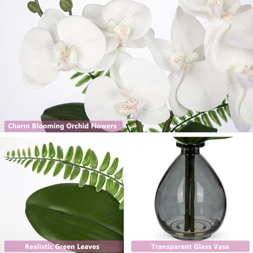 Oairse White Orchids Artificial Flowers, Faux Orchid in Glass Vase Real Touch Small Phalaenopsis Orchid Flowers Arrangements with Black Vase Orchids Centerpiece for Dining Room Table - color: White & Black
