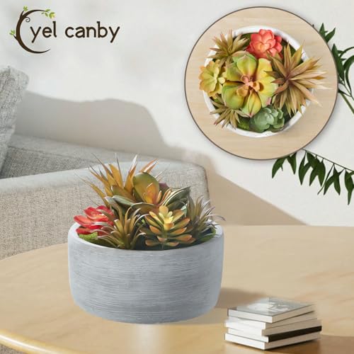 6 Inch Artificial Succulent Plants in Pots,Realistic Fake Succulents with Gray Ceramic Pot for Home Office Desk Bathroom Coffee Table Decor - color: Grey#1, size: 6inch