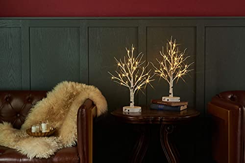 LITBLOOM Lighted Birch Tree with Timer Battery Operated or USB Plug-in 18IN 24 LED, Easter Trees with Lights for Wedding Party Home Fireplace Table Decoration - color: Birch