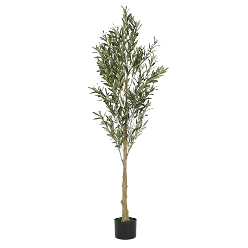Christopher Knight Home Annas Faux Olive Tree 6ft, Artificial Olive Tree Indoor with Nursery Pot, Tropical Style Faux Tree with Black Plastic Pot, Artificial Plant for Home Office Decor, 1pcs, Green - color: Green/71''h