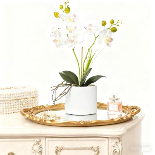 Jusdreen Artificial White Orchid in Ceramic Pot, Realistic Phalaenopsis Arrangement with Potting for Home Office Table Decor, 14.5 Inch Flower Centerpiece - color: Z/Ceramic-white