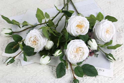 Real Touch White Austin Roses Peonies Artificial Flowers 4 Bouquets Latex Fake Peonies with Long Stem Realistic Faux Peony for Wedding Party Home Table Centerpieces Decorations (White) - color: White