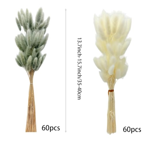 120pcs Dried Bunny Tails Flowers White and Grey Pampas Grass Natural Dried Floral Arrangement Dry Flowers for Christmas Halloween Boho Decor Home Wedding DIY Craft Decoration (16") - color: Grey-white