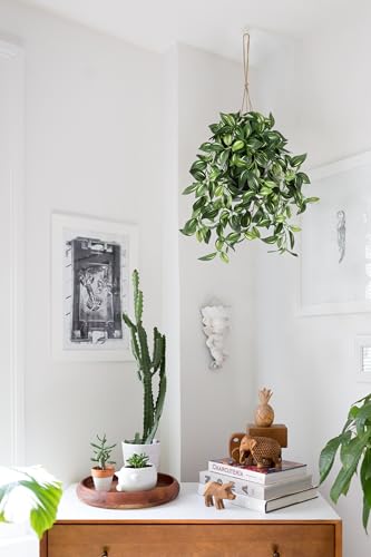 Briful Artificial Hanging Plants in Black Pot 17.7" Lifelike Trailing Faux Watermelon Peperomia Silk Plant with Cascading Green Leaves Fake Hanging Greenery for Indoor & Outdoor Home Garden Décor - color: Green