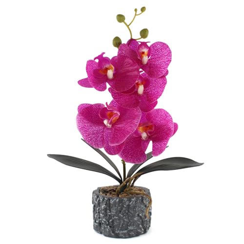 Lifelike Artificial Orchid Faux Plant Fake Flower Phalaenopsis with Cement Vase Table Centerpieces Home Bathroom Hotel Office Decoration (Purple Tall 15") - color: Purple