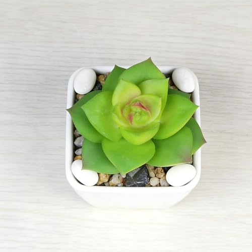 Artificial Succulent Plants in Pot - 1Pcs Small Wakame Realistic Fake Potted Succulents for Home Decor, Desk, Office, Bathroom, Windowsill - Indoor Houseplant for Bedroom, Kitchen, Shelf - color: Small Wakame