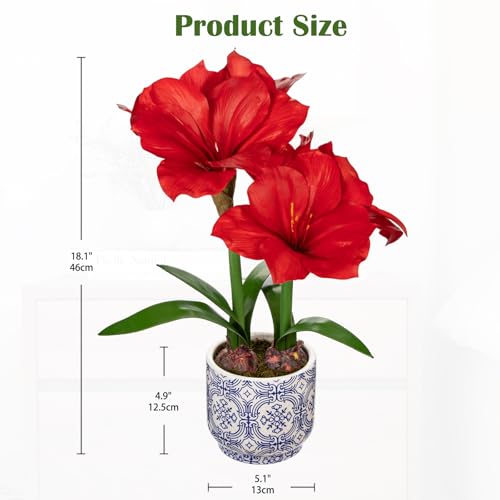 Briful Red Amaryllis Artificial Flowers in Blue Ceramic Pot 18.1" Faux Amaryllis Flower Arrangement with Decorative Bulbs Moss for Home Office Bathroom Table Shelf Décor - color: Red, size: Blue and White Ceramic Pot