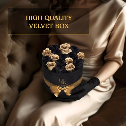 17 Black & Gold Forever Roses, Velvet Box - Luxury Black Roses, Graduation Flowers, Golden Roses, Preserved Rose Gifts for Women, Flowers for Teacher, Black Roses for Delivery Prime
