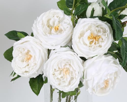 Real Touch White Austin Roses Peonies Artificial Flowers 4 Bouquets Latex Fake Peonies with Long Stem Realistic Faux Peony for Wedding Party Home Table Centerpieces Decorations (White) - color: White