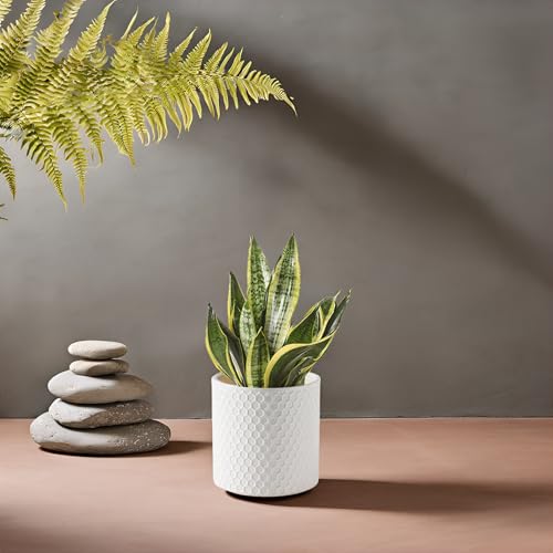 Docrin Ceramic Planters Indoor, 8 Inch Plant Pot with Drainage Holes for Home/Office - White Honeycomb - color: White - 1pcs