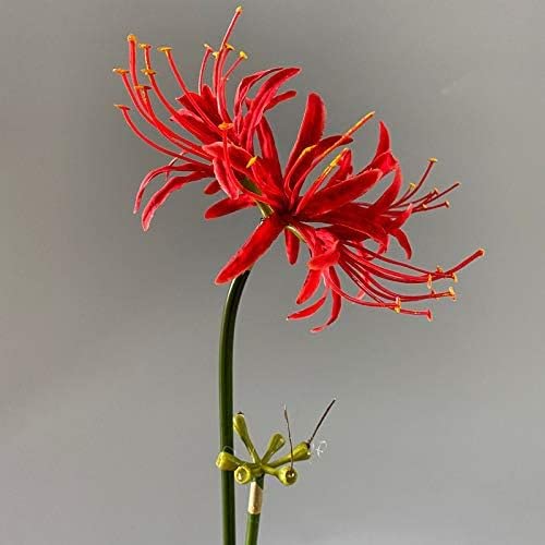 6 Stems 26.38 Inch Artificial Lycoris Radiata Spider Lily Flowers for Home Garden Decoration Red - color: Red