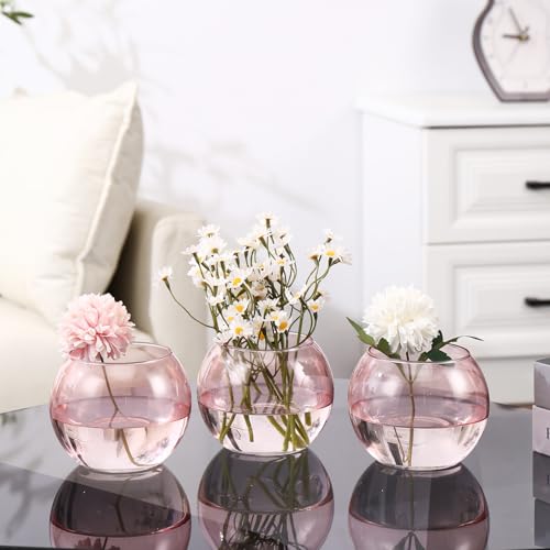 Pink Round Vases Set of 6, Glass Vase for Flowers, Flower Vases for Centerpieces, Glass Bowl Vase for Living Room, Bedroom, Kitchen, Office, Wedding - color: Pink, size: 3“