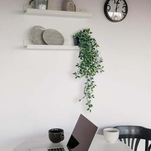 Freyalife Fake Plants Artificial Mandala Vine Faux Hanging Potted Plants for Farmhouse Modern Boho Room Living Office Coffee Bathroom Desk Wall Book Shelf Indoor Aesthetic Home Decor (1Pack) - color: Mandala