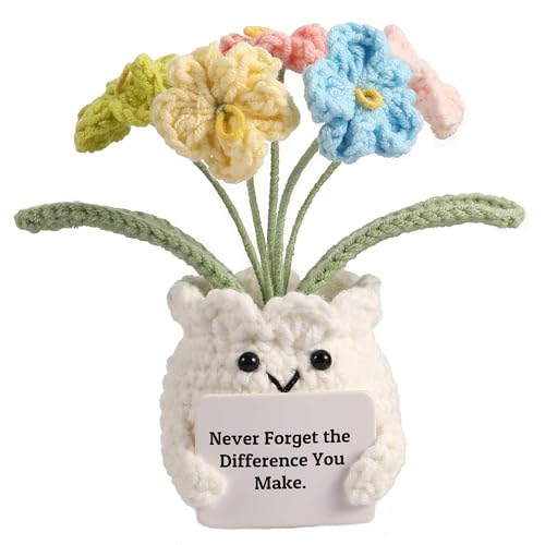 YOOJEE Forget-Me-Not Crochet Flower Potted Plant Gift | Difference You Make Gift, PET Display Box, Teacher Appreciation, Coworker, Employee, Thank You Gift, Handmade Desk Decor - color: E-never Forget the Difference You Make